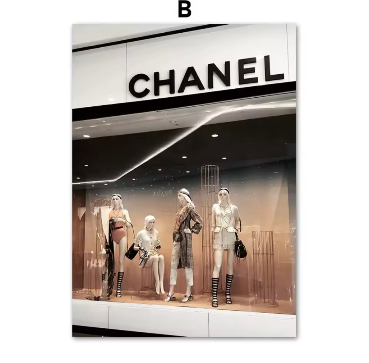 Ch*nel Paris Canvas