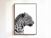 Leopard Canvas